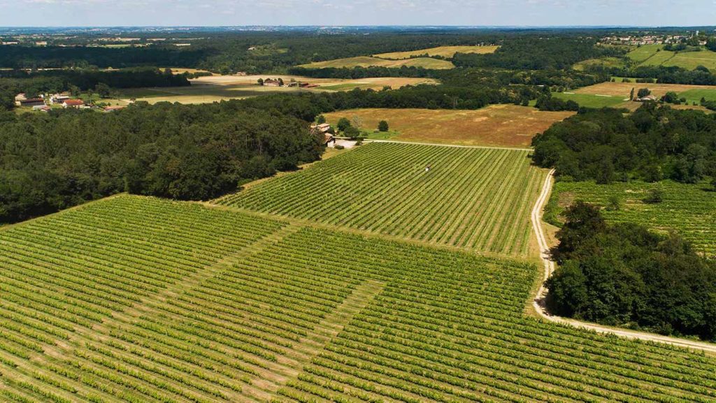 Vignes d'Auros