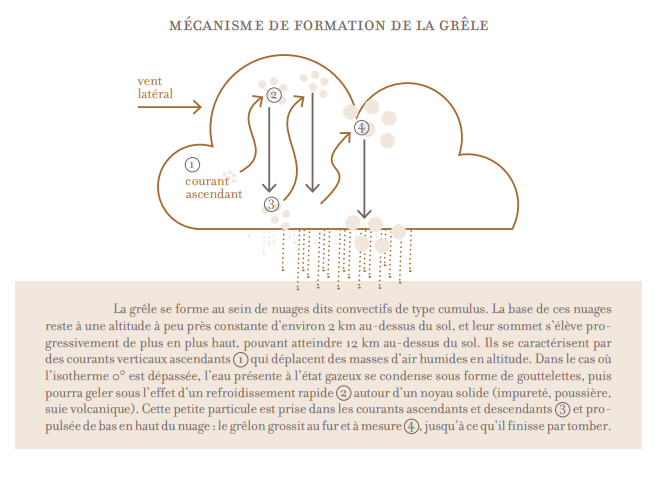 Formation de la grêle
