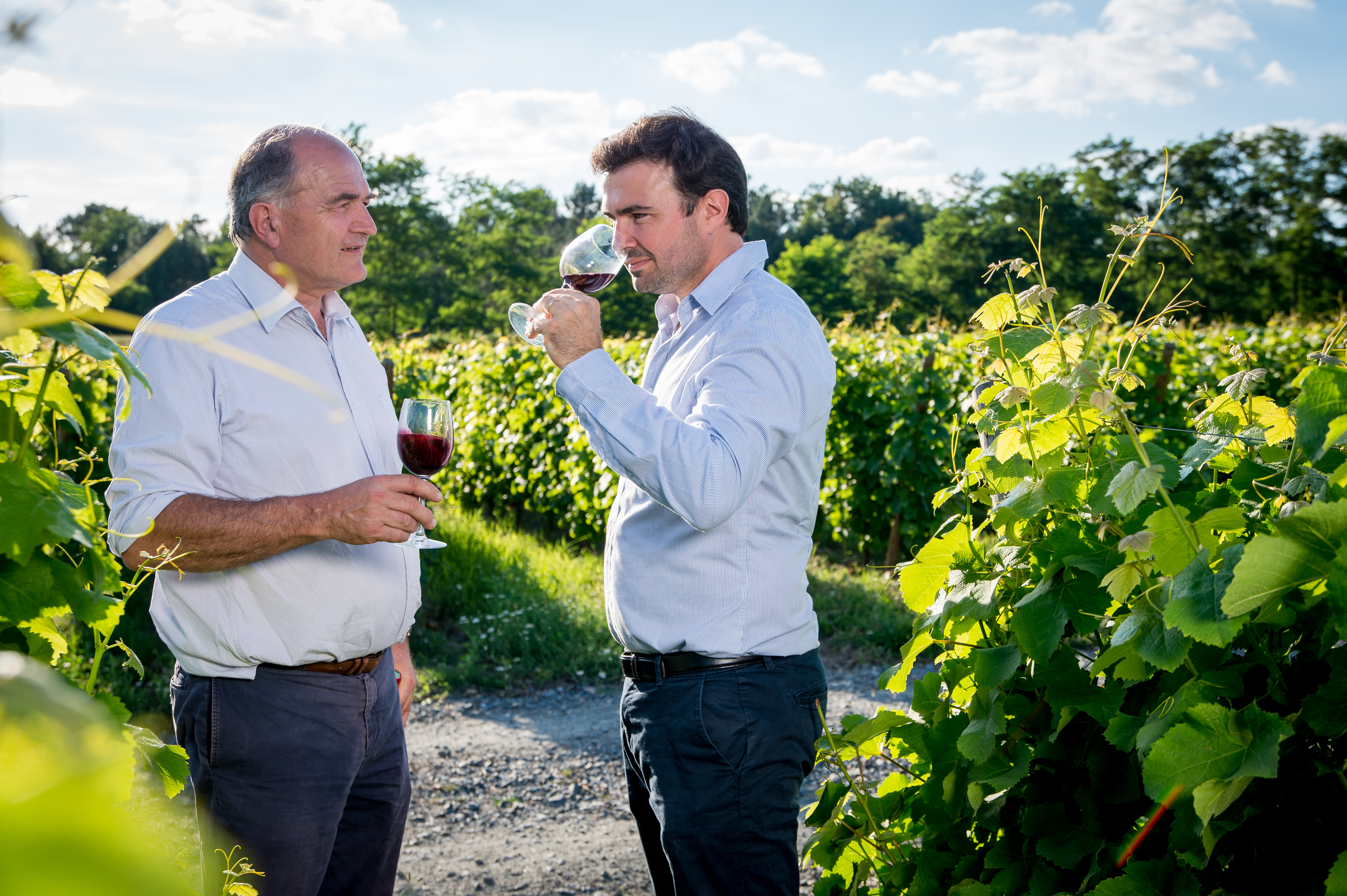Dégustation dans les vignes