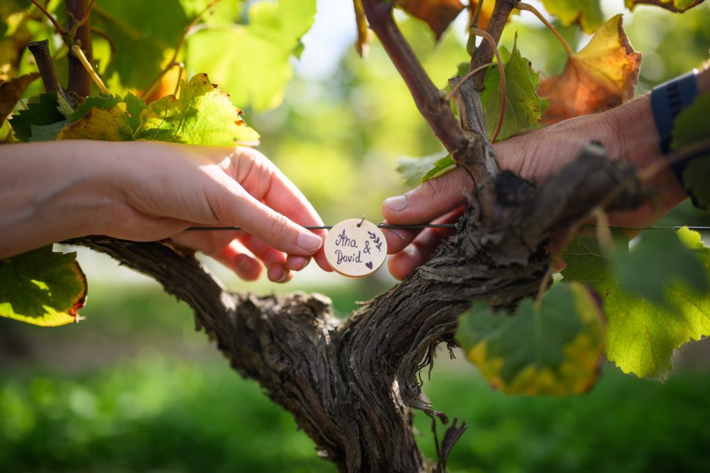 Cuvée privée - médaillon vignes du Château d'Eyran Pessac-Léognan