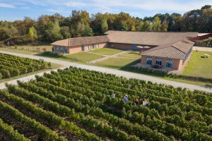 Visite dans le vignoble du Chai du Château d'Eyran au cœur de l'appellation Pessac-Léognan