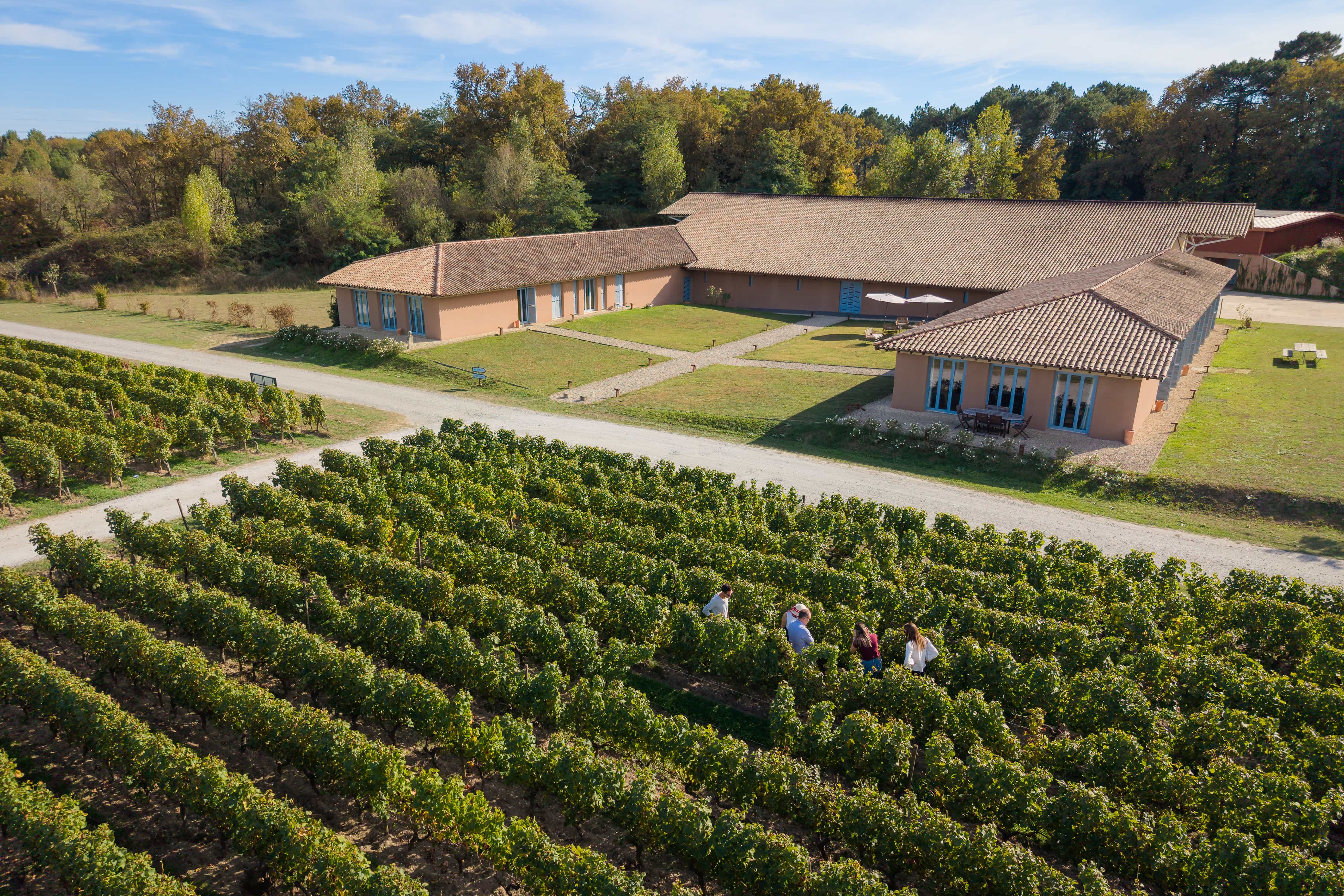 Visite dans le vignoble du Chai du Château d'Eyran au cœur de l'appellation Pessac-Léognan
