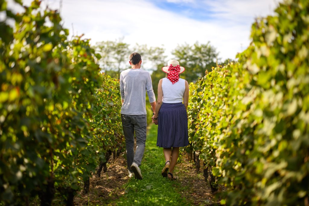 Balade dans le vignoble de Château d'Eyran - Appellation Pessac-Léognan