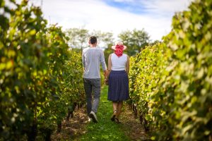 Balade dans le vignoble de Château d'Eyran - Appellation Pessac-Léognan